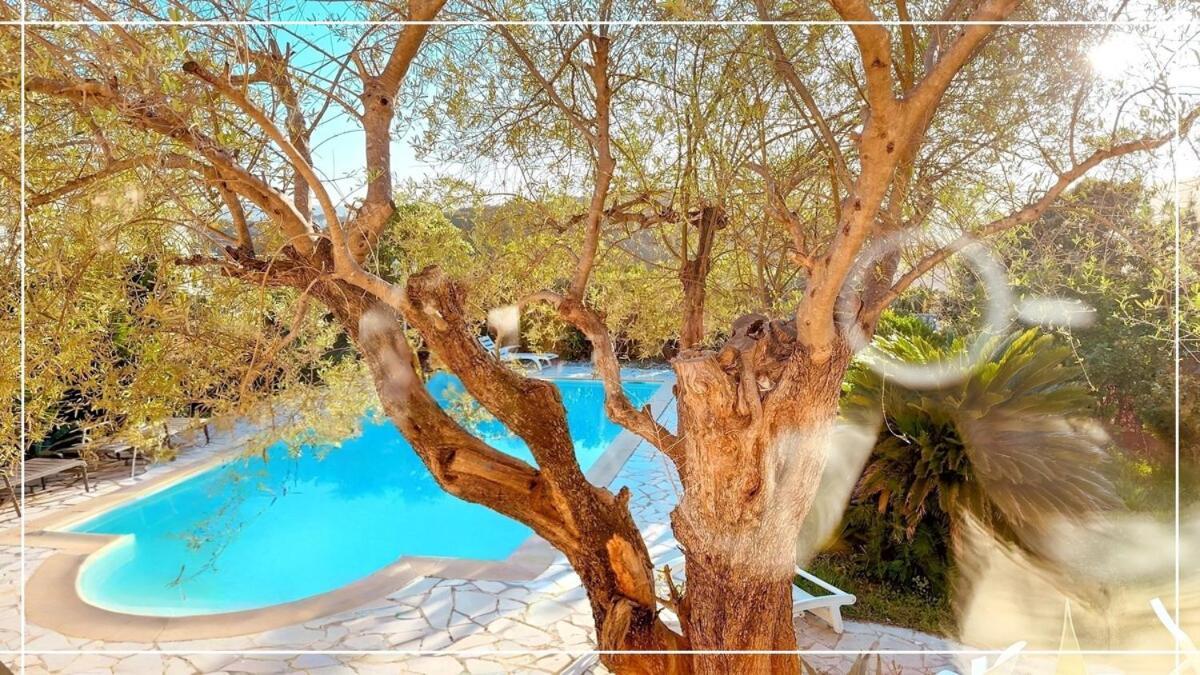 Provencal Parenthesis Appartement Antibes